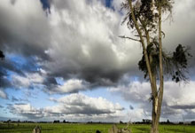 英超冷门夜？3大豪门齐翻车丢分！利物浦遭狙击2连平 两队获利好.